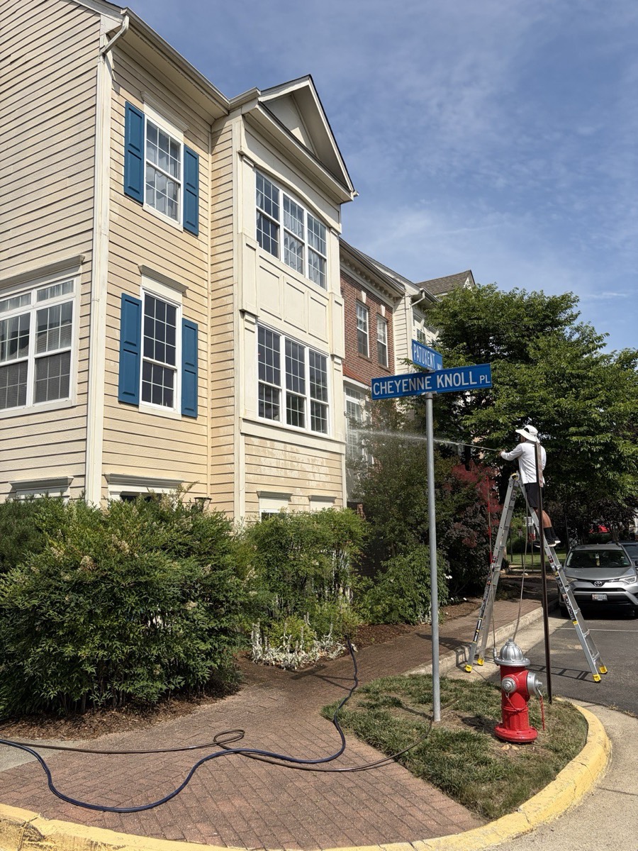 WindowBuddy crew member on a ladder soft washing a townhouse exterior